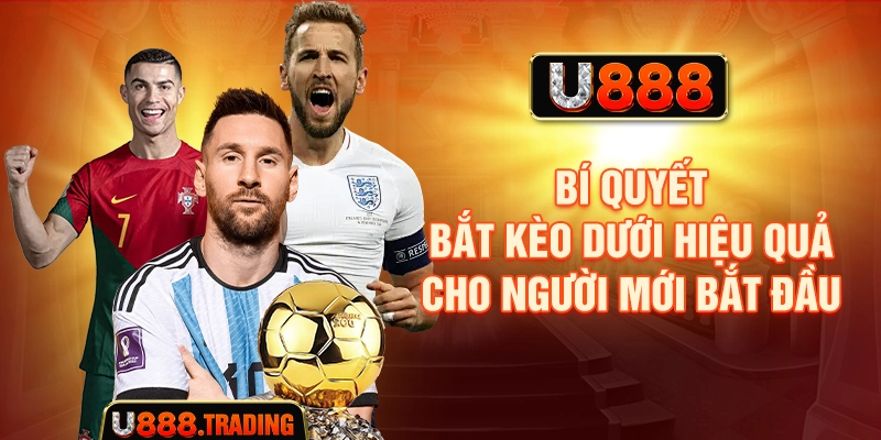 Bí quyết bắt kèo dưới hiệu quả cho người mới bắt đầu